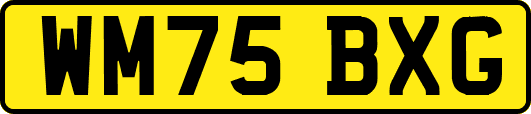 WM75BXG