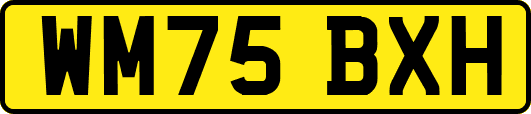 WM75BXH