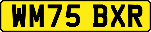 WM75BXR