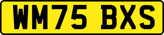 WM75BXS