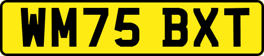 WM75BXT