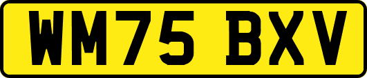 WM75BXV