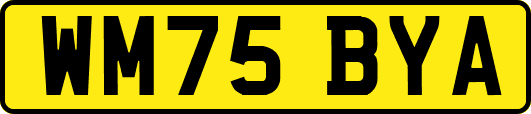 WM75BYA