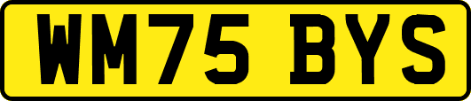 WM75BYS