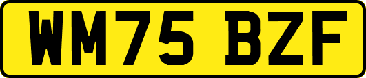 WM75BZF