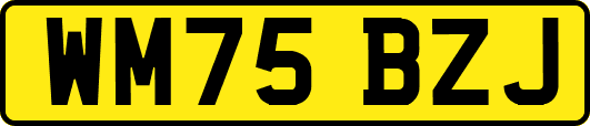 WM75BZJ