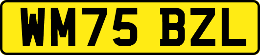 WM75BZL