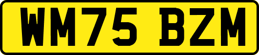 WM75BZM