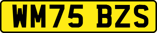 WM75BZS