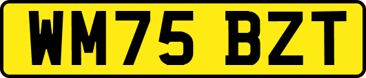 WM75BZT