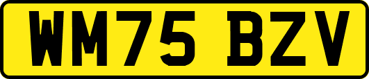 WM75BZV