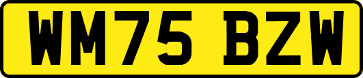 WM75BZW