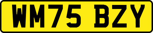 WM75BZY