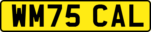 WM75CAL
