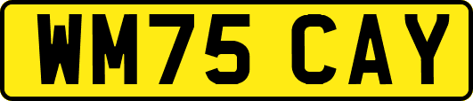 WM75CAY