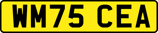WM75CEA