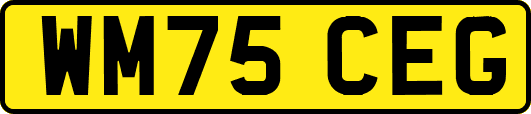 WM75CEG