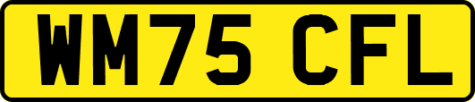 WM75CFL