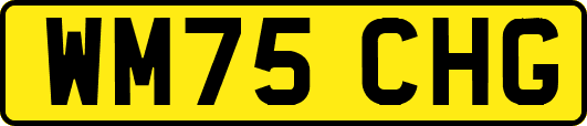 WM75CHG