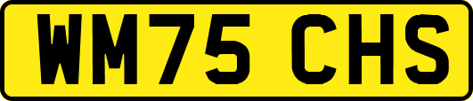 WM75CHS