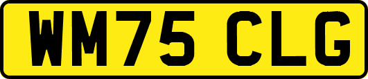 WM75CLG