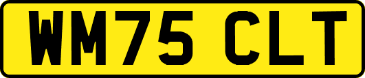 WM75CLT
