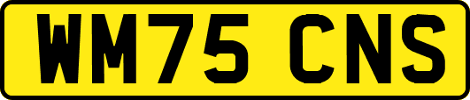 WM75CNS