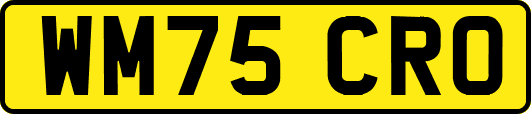 WM75CRO