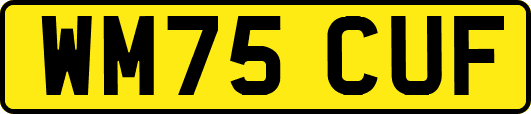 WM75CUF