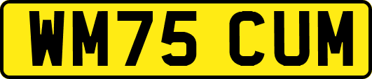 WM75CUM