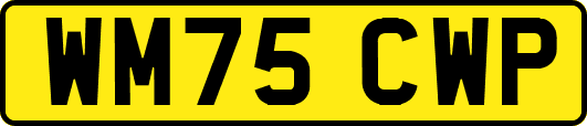 WM75CWP