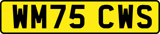 WM75CWS