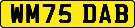 WM75DAB