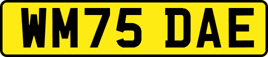 WM75DAE
