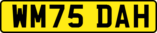 WM75DAH