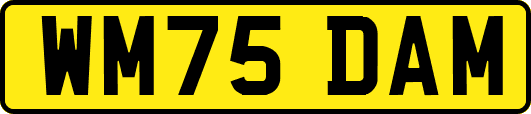 WM75DAM