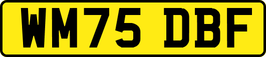 WM75DBF