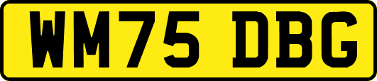 WM75DBG