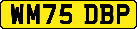 WM75DBP