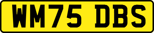WM75DBS