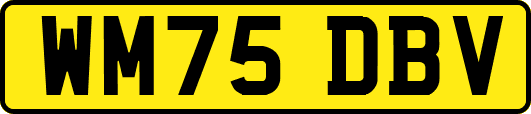 WM75DBV
