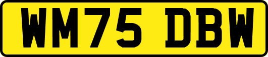 WM75DBW