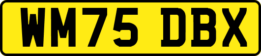 WM75DBX