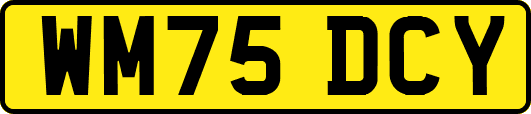 WM75DCY