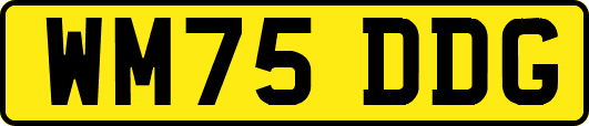 WM75DDG