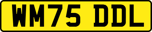 WM75DDL
