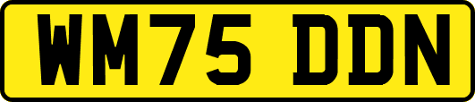 WM75DDN