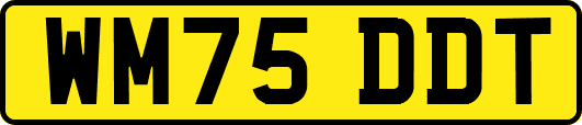 WM75DDT