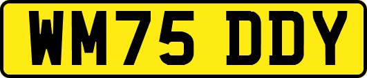 WM75DDY