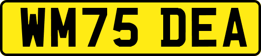 WM75DEA